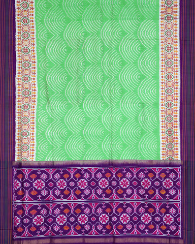 Light Green Patola Saree - PattuCheeralu